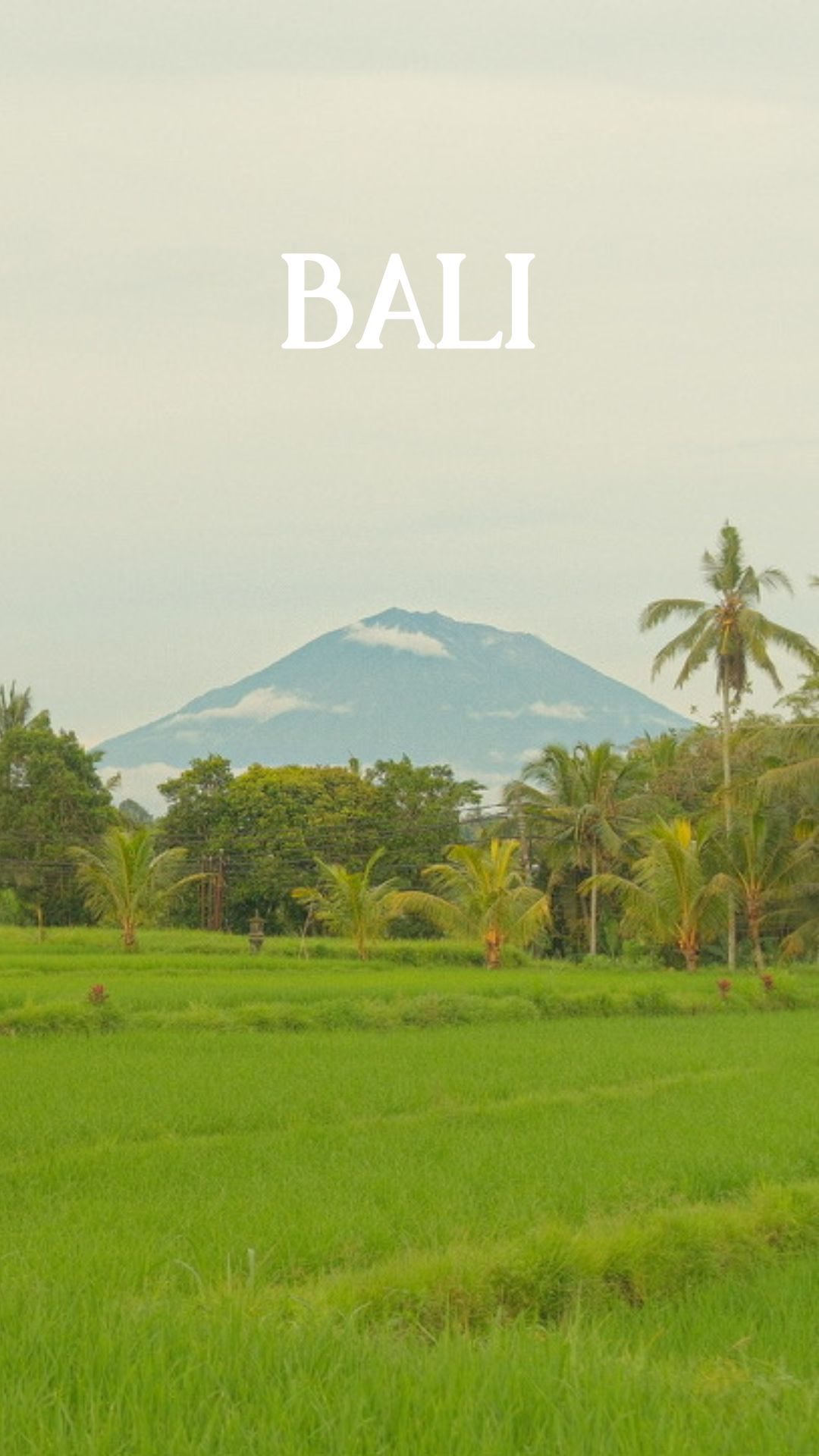 Bali: paradise, but the monkeys call the shots 🙈 some of my favorite recs below: 🏩stays: @alilaubud @kimasurf @dreamseasurf @alilavillasuluwatu 🥥 eats: @thecashewtree.collective @pennylanebali @saltycoffee.bali @kellyswarung @sukaespresso 🛍️shops: @driftersurfshop @seagypsyjewelry @anandasoulcreations @satunamahome #Bali #BaliVibes #TravelBali #Wanderlust #TravelAdvisor #TravelTips #InstaTravel #ExploreBali #IslandLife #TravelGoals #TravelDiaries