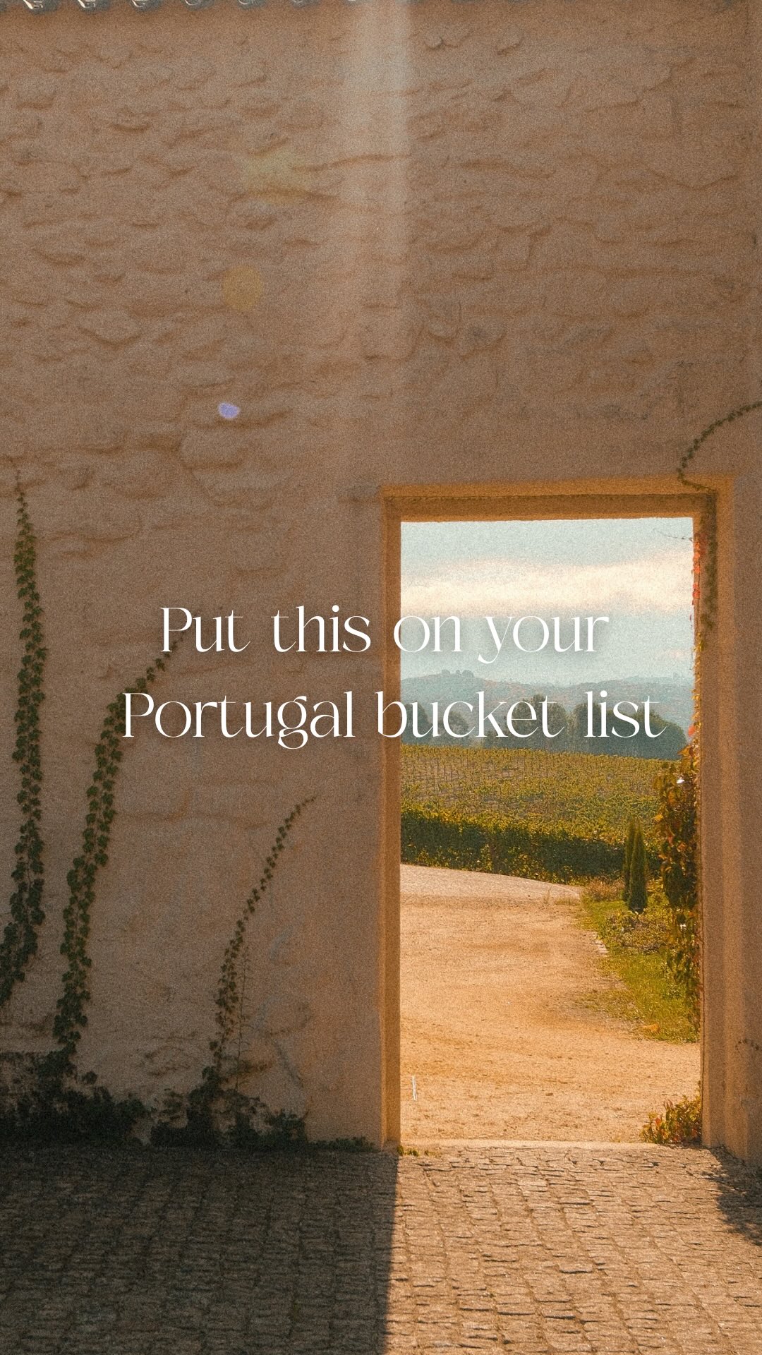 Portugal’s wine region you probably haven’t heard of..
Meet: the Dão region📍
•
•
•
#PortugalTravel #WineTravel #TravelPortugal #TravelAdvisor #VisitPortugal