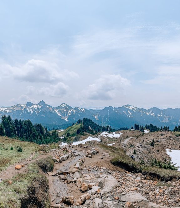Mountains in Washington USA in Mount Rainier National Park